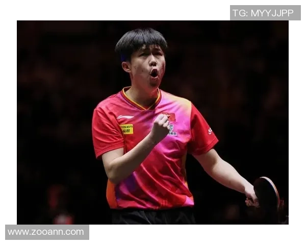 杭州乒乓球队灵活性展现大满贯赛事中的卓越表现与战术创新